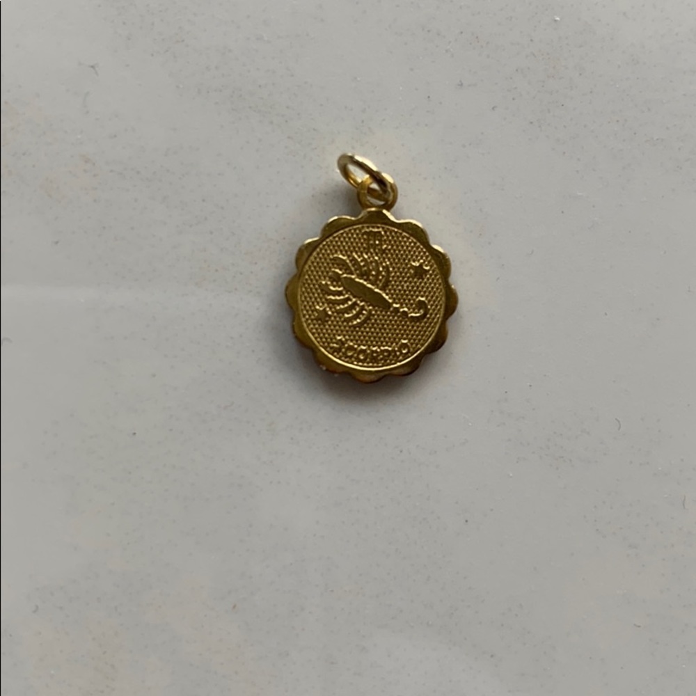 Scorpio horoscope charm